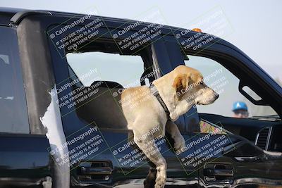 media/May-02-2025-CRA (Fri) [[8ae20d389f]]/Around the Pits/